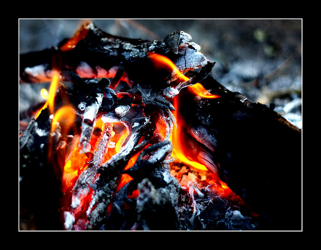 4371757217_c26c9baee1_z