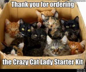 Cat_Lady_Starter_Kit_